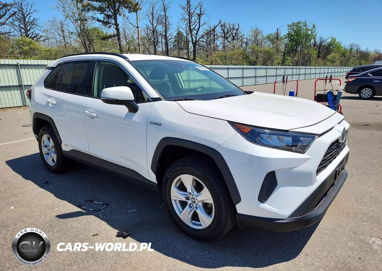 2019 Toyota Rav4 Le VIN:JTMMWRFV6KD016772 - 4