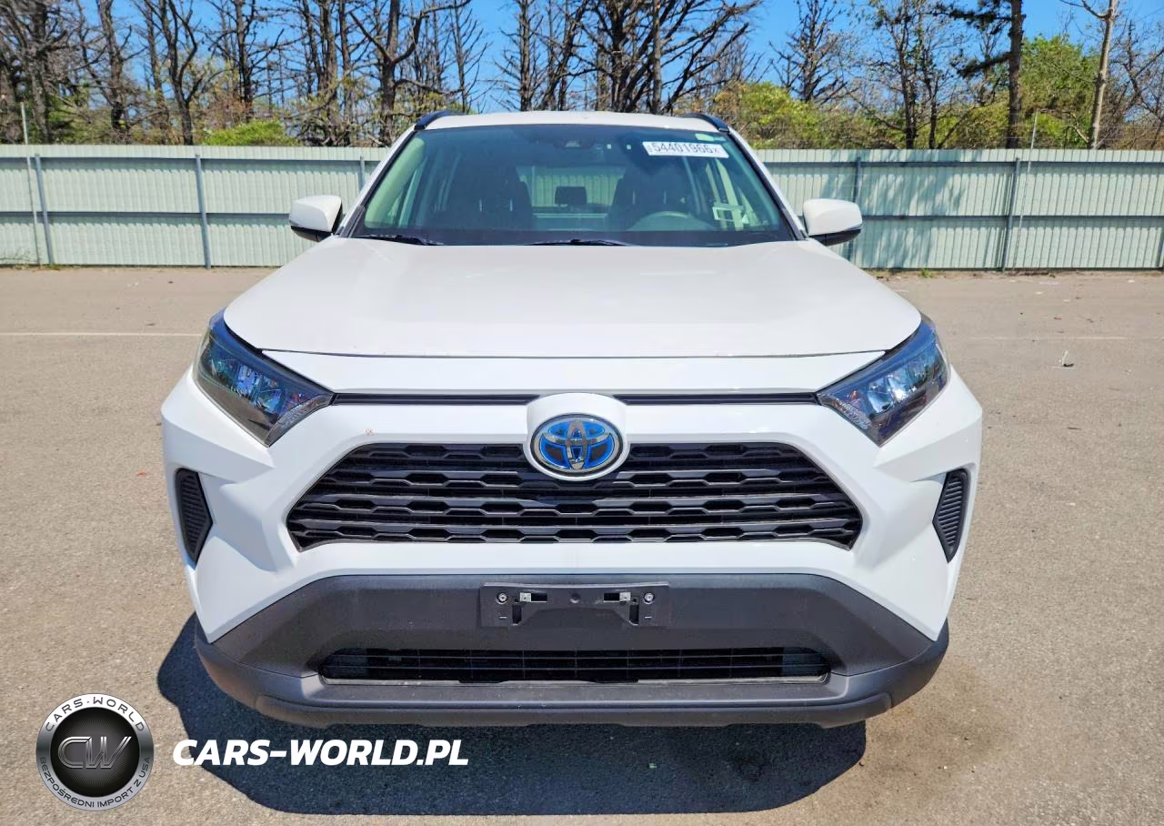 2019 Toyota Rav4 Le VIN:JTMMWRFV6KD016772 - 5