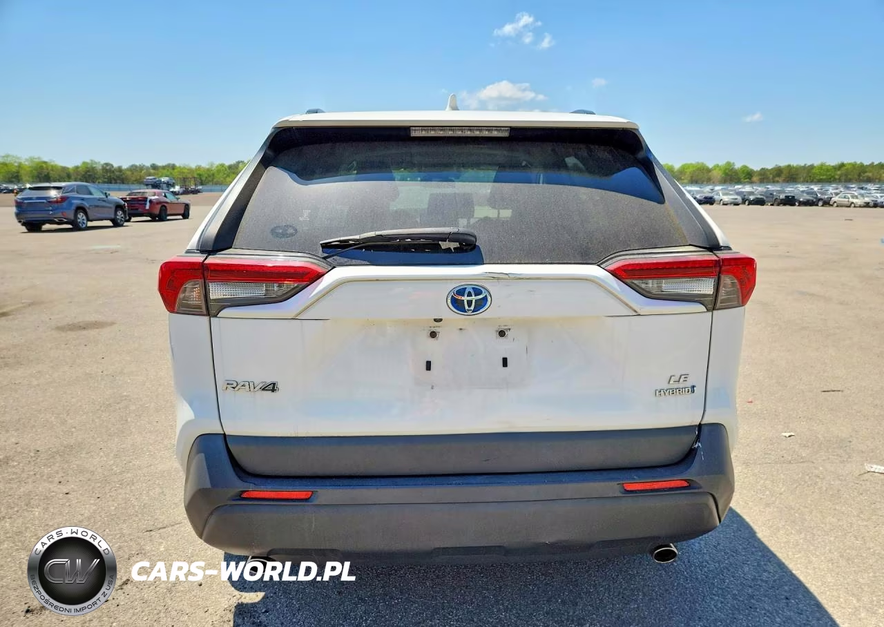 2019 Toyota Rav4 Le VIN:JTMMWRFV6KD016772 - 6
