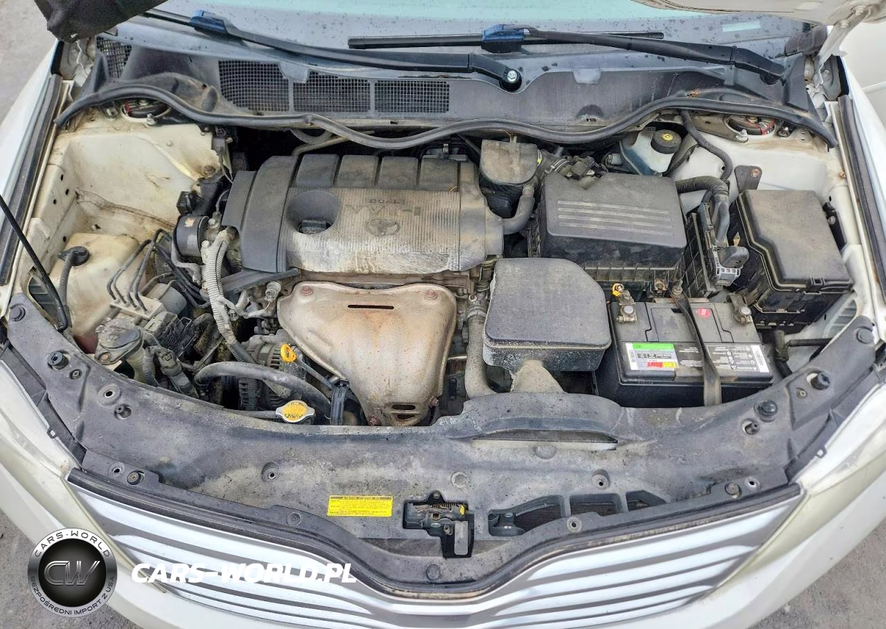 2010 Toyota Venza Fwd 4Cyl VIN:4T3ZA3BB6AU021839 - 11