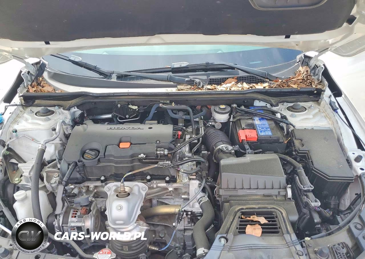 2024 Honda Civic Sport VIN:2HGFE2F52RH545055 - 11