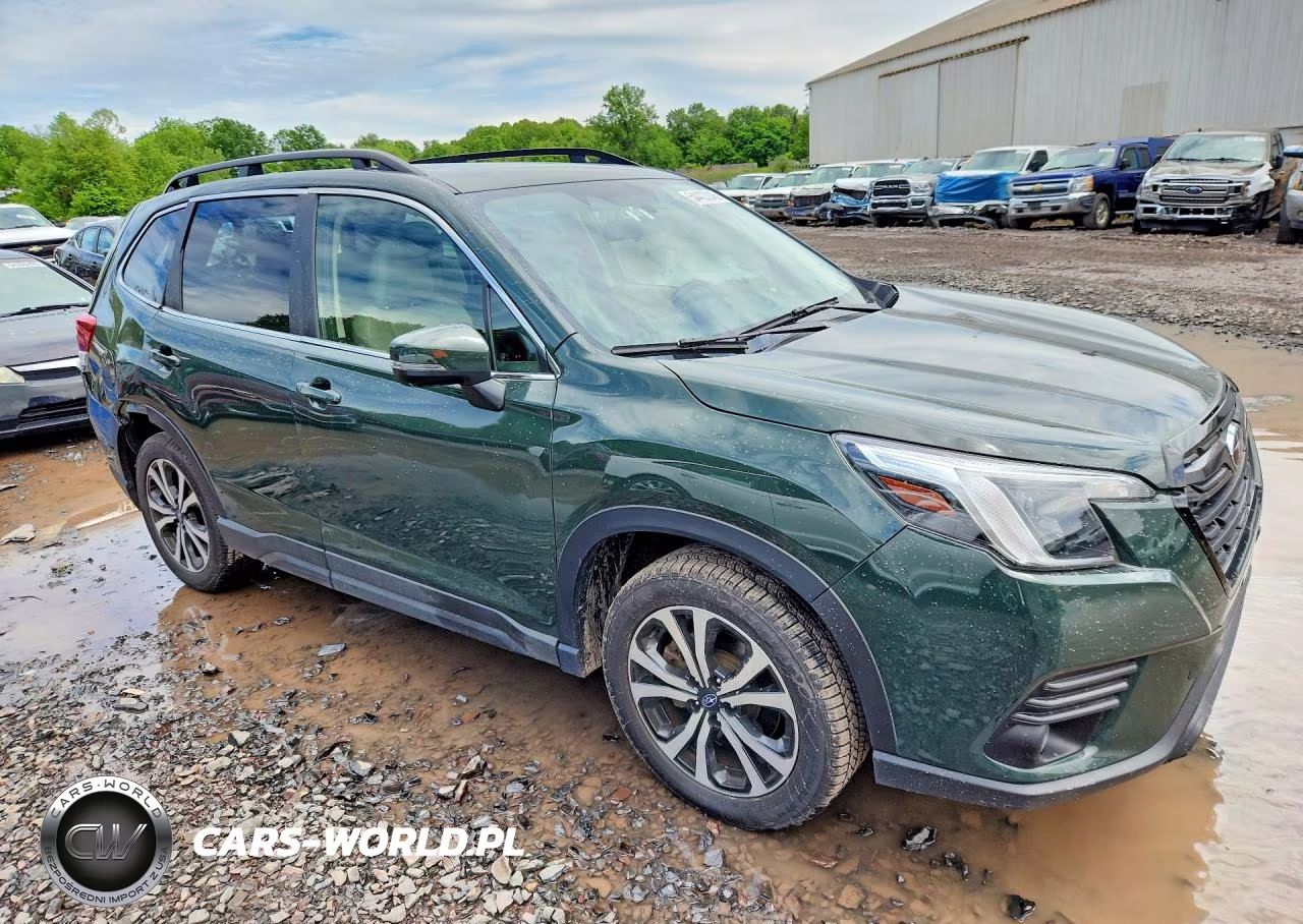 2022 Subaru Forester Limited VIN:JF2SKANC1NH451833 - 4