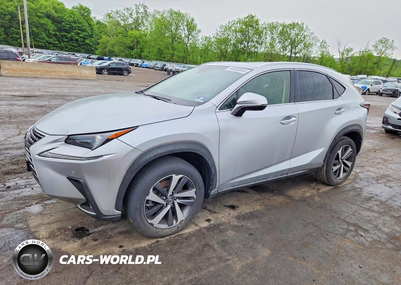 2019 Lexus Nx 300 Base