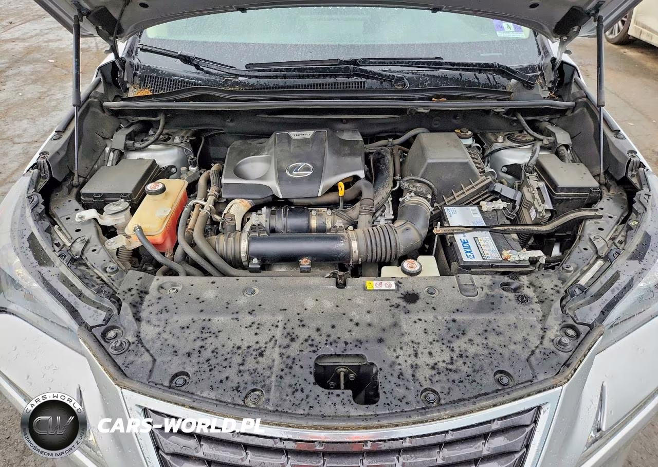 2019 Lexus Nx 300 Base VIN:JTJBARBZ4K2194848 - 12