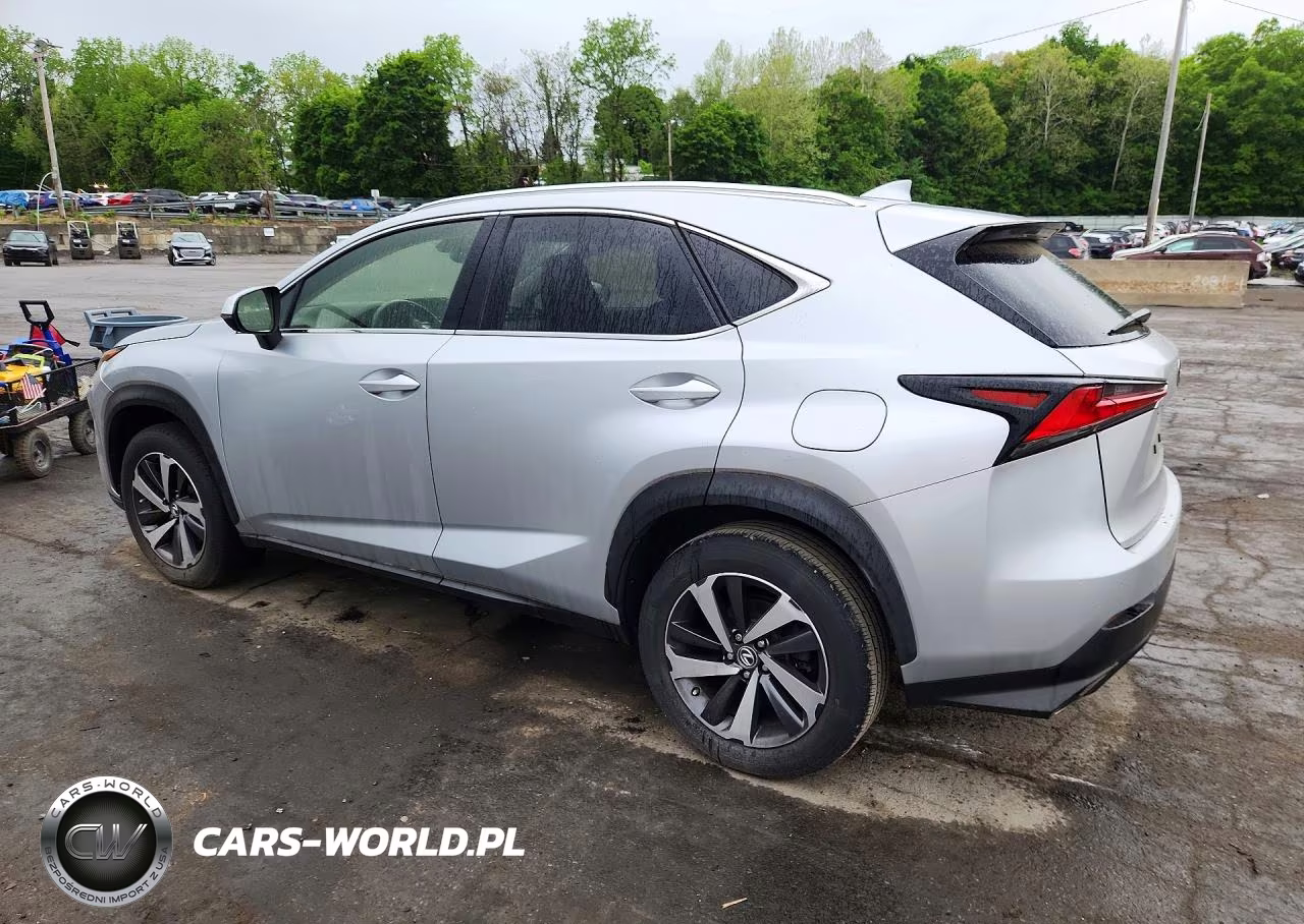 2019 Lexus Nx 300 Base VIN:JTJBARBZ4K2194848 - 2