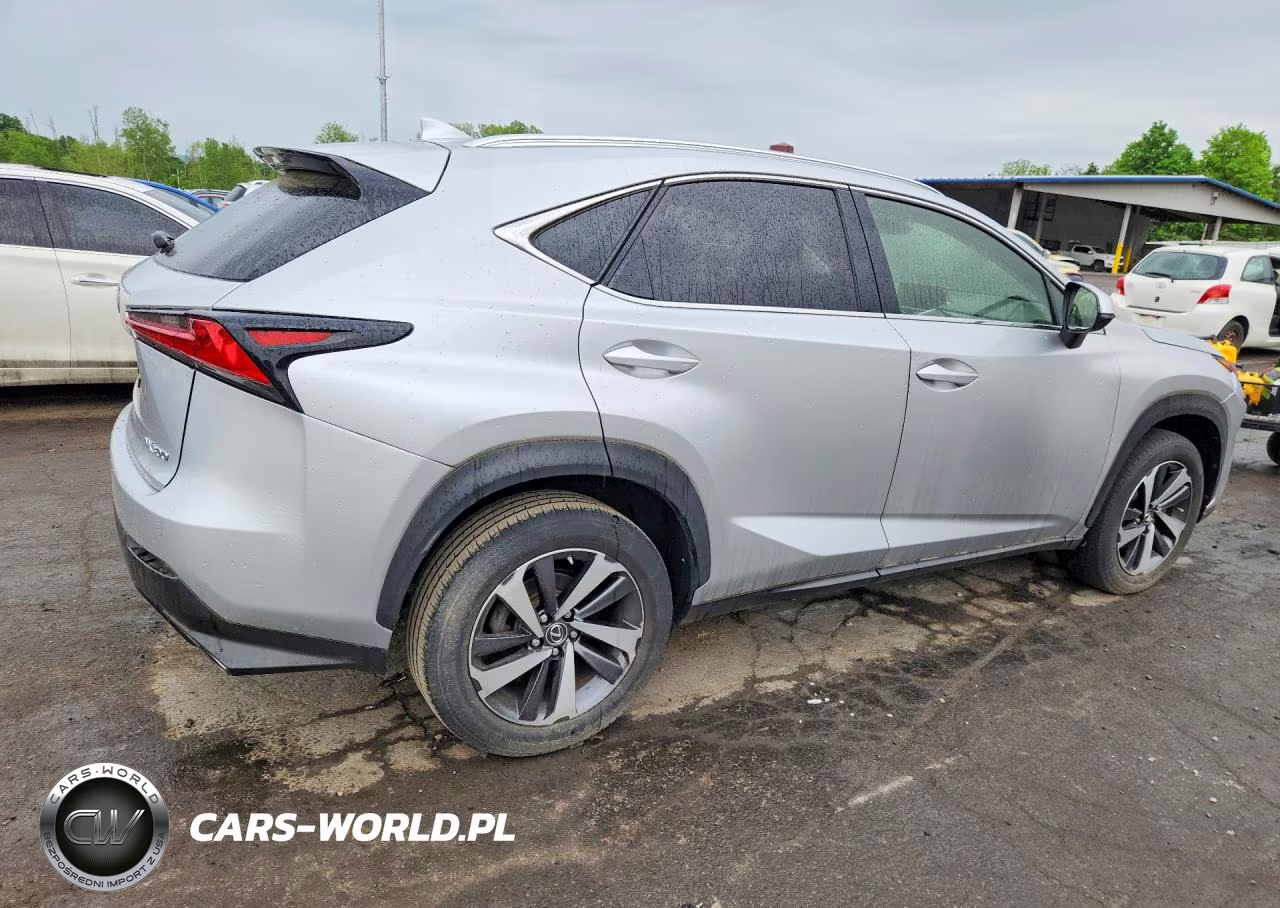 2019 Lexus Nx 300 Base VIN:JTJBARBZ4K2194848 - 3