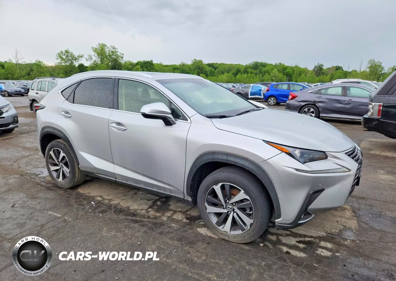 2019 Lexus Nx 300 Base VIN:JTJBARBZ4K2194848 - 4