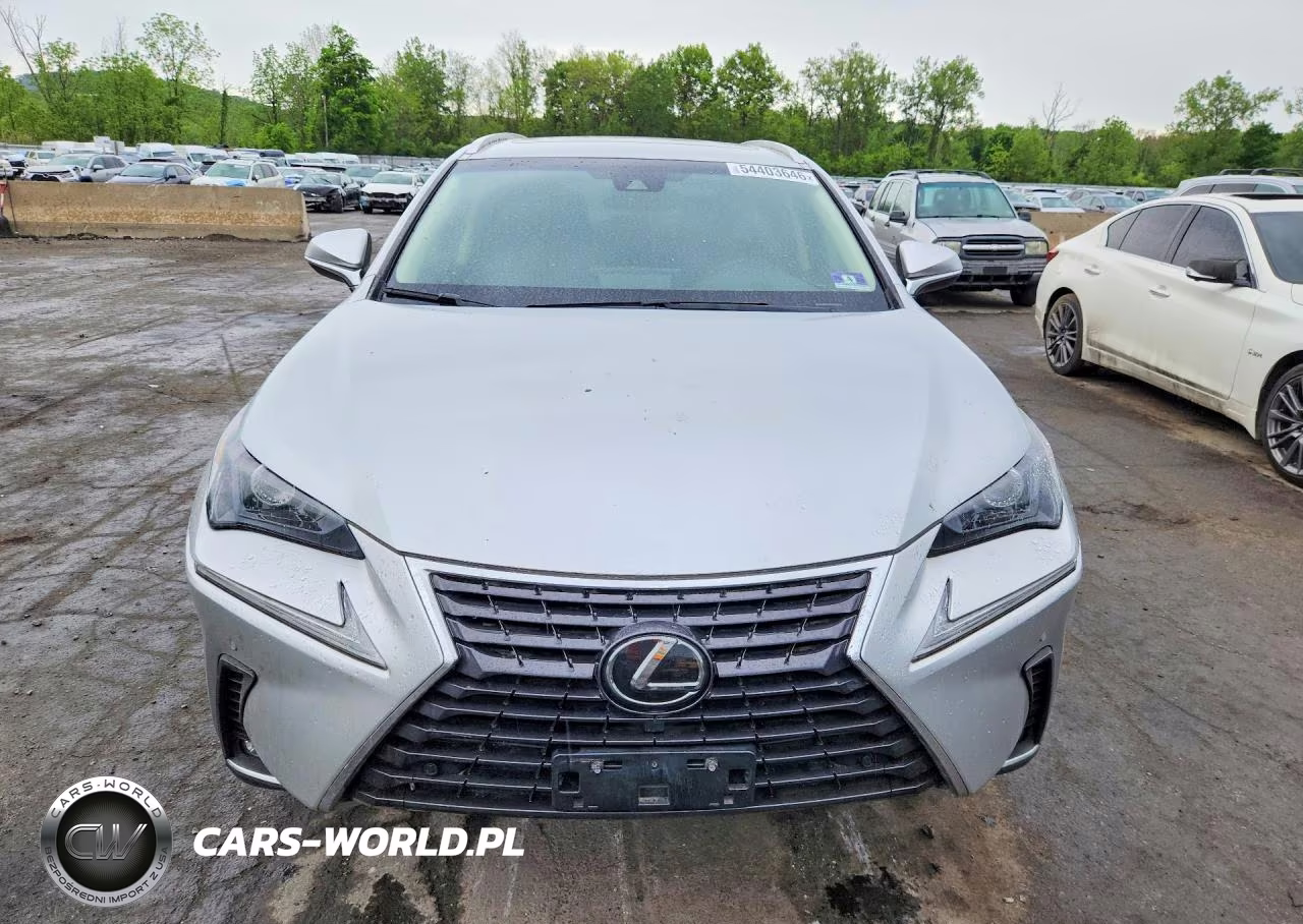 2019 Lexus Nx 300 Base VIN:JTJBARBZ4K2194848 - 5