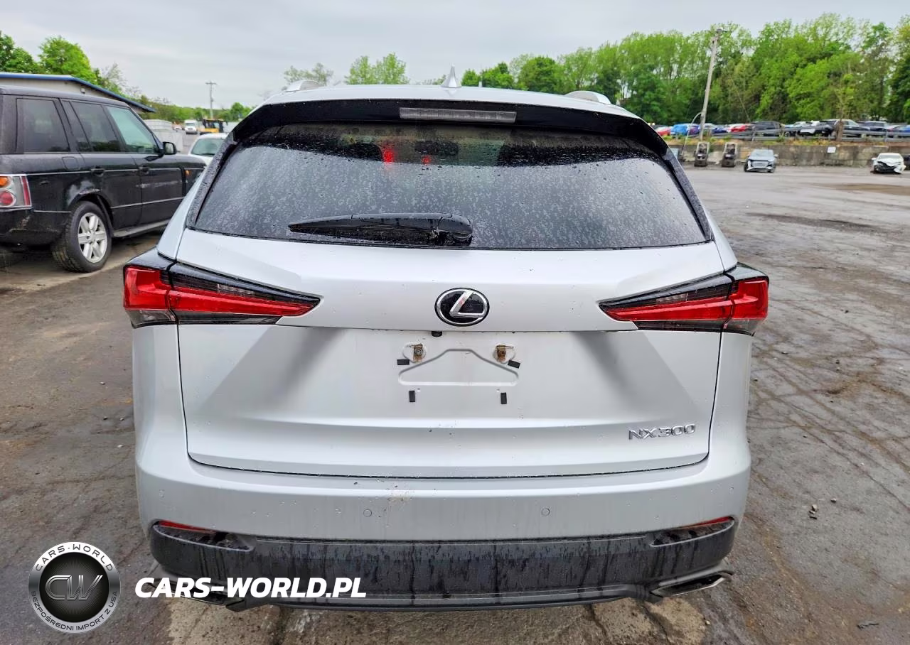 2019 Lexus Nx 300 Base VIN:JTJBARBZ4K2194848 - 6