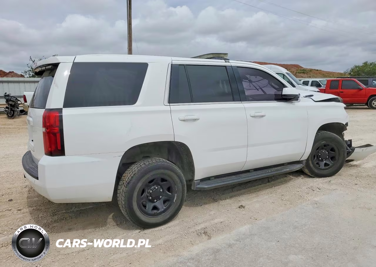 2018 Chevrolet Tahoe Police VIN:1GNLCDEC1JR306269 - 3