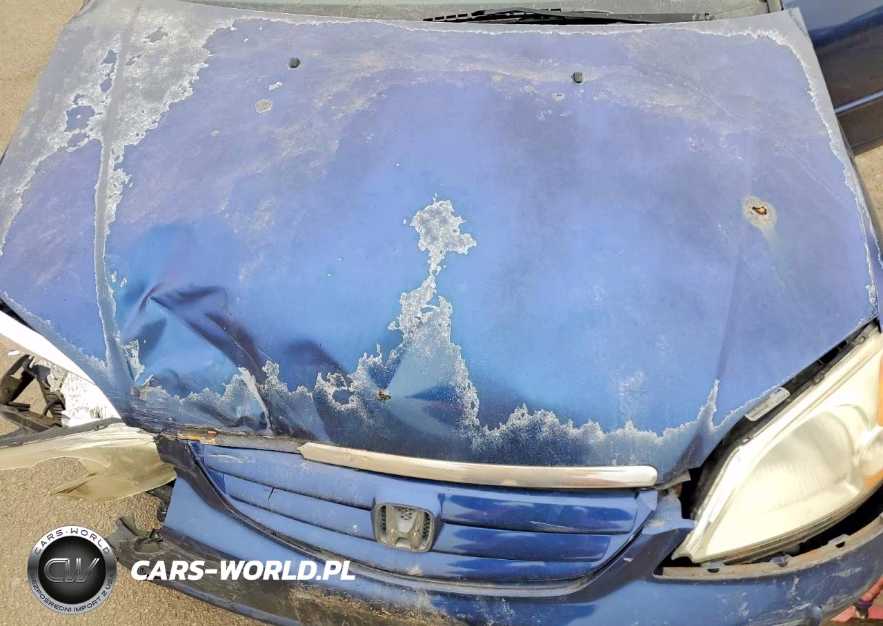 2002 Honda Civic Ex VIN:2HGES26882H586715 - 11