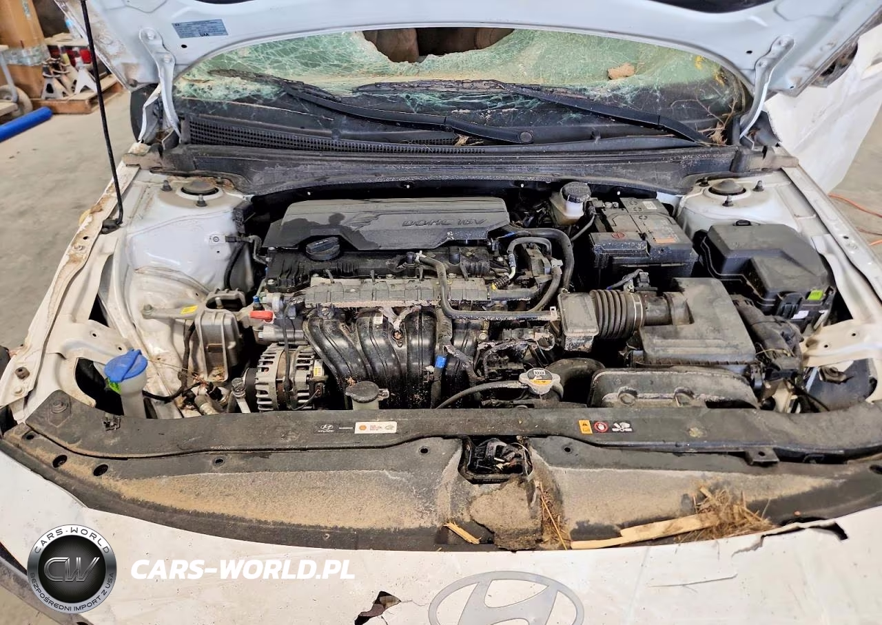2024 Hyundai Elantra Sel VIN:KMHLM4DG1RU676930 - 11