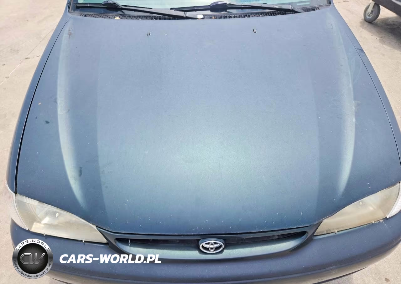 1999 Toyota Corolla Ve VIN:1NXBR12E8XZ165984 - 11