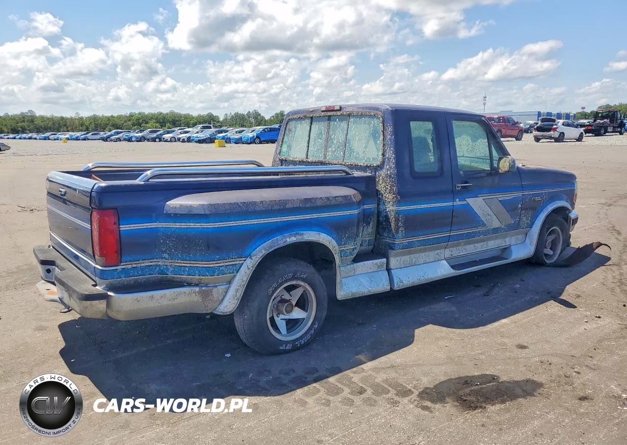 1995 Ford F150 VIN:1FTEX15N9SKB61417 - 3