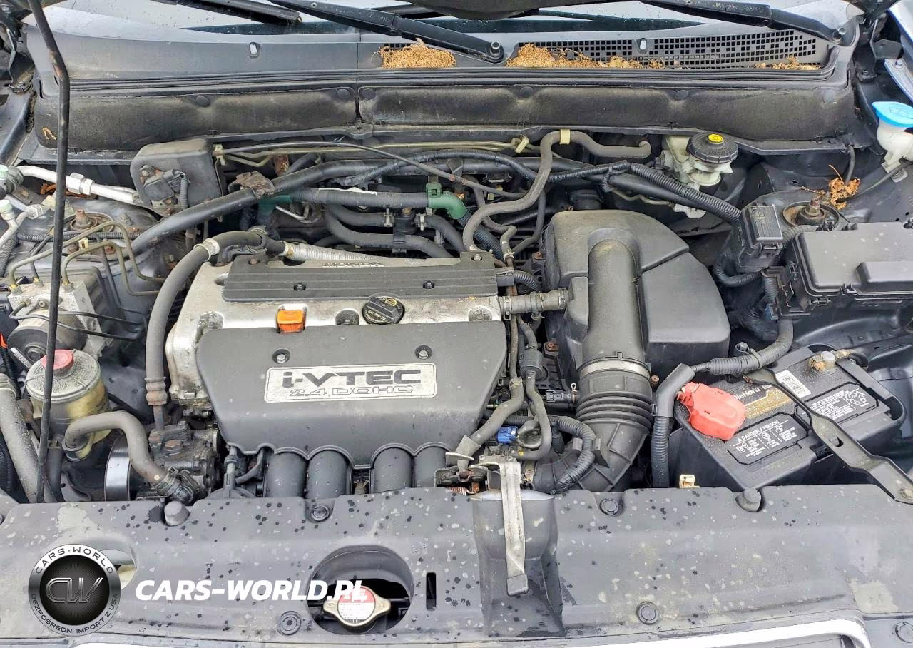 2005 Honda Cr-V Se VIN:JHLRD78905C050803 - 12