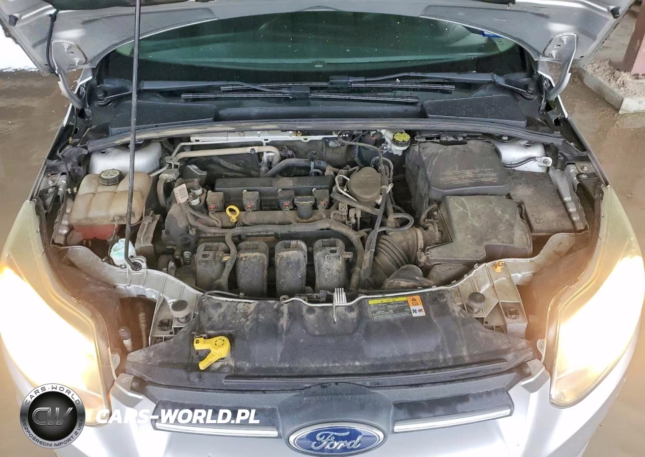 2013 Ford Focus Se VIN:1FADP3K24DL155674 - 11