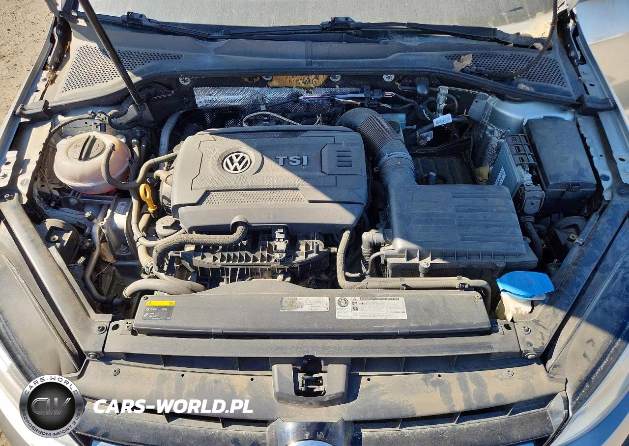 2015 Volkswagen Golf VIN:3VW217AU1FM022818 - 11
