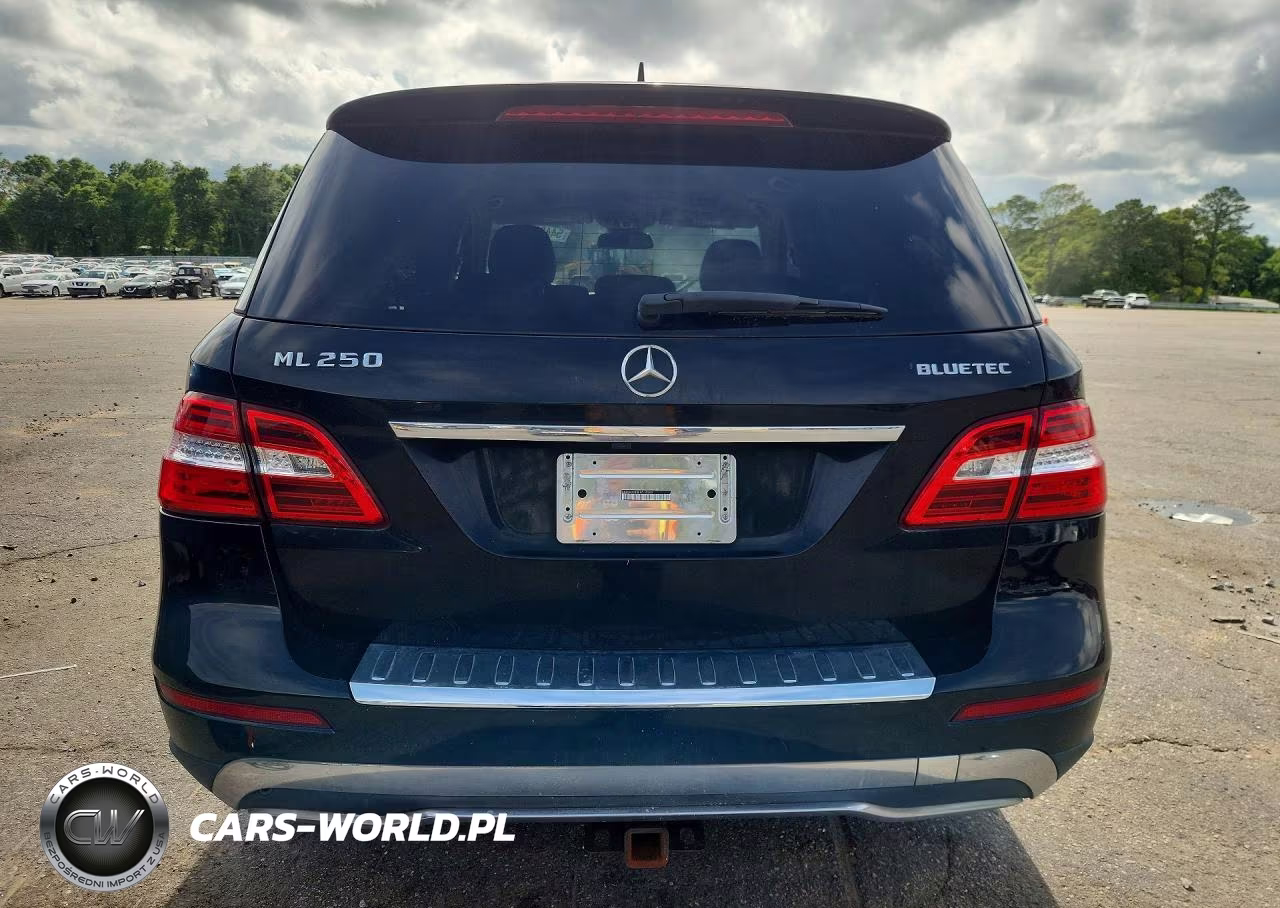2015 Mercedes-Benz Ml 250 Bluetec VIN:4JGDA0EB8FA510202 - 6