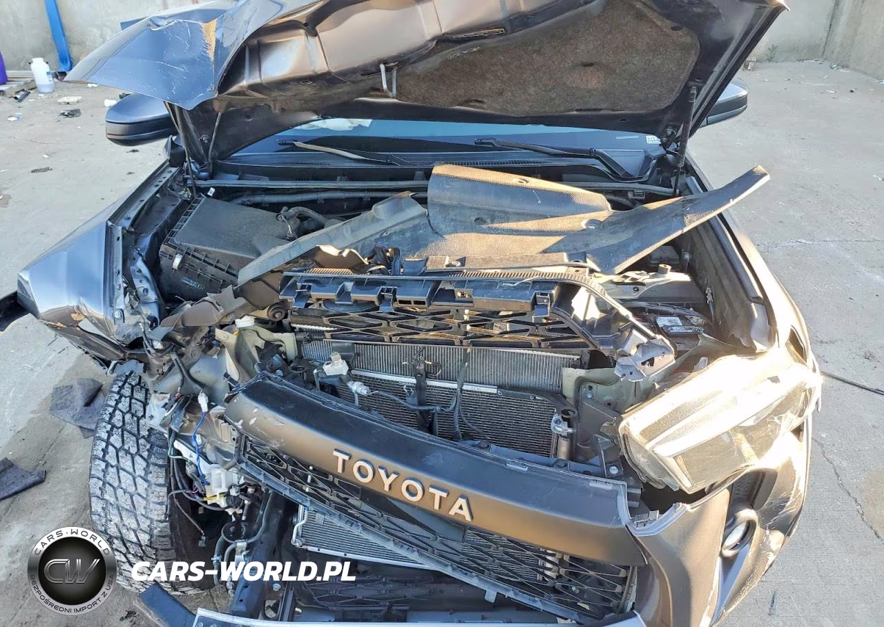 2020 Toyota 4Runner Trd Pro VIN:JTEBU5JR1L5769763 - 12