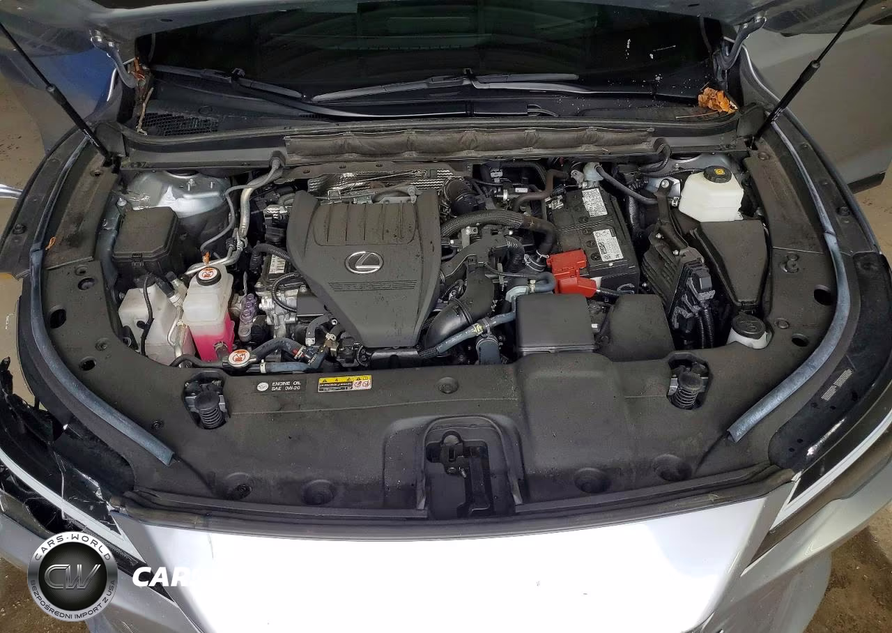 2023 Lexus Rx 350 Premium+ VIN:2T2BAMCA4PC014058 - 12