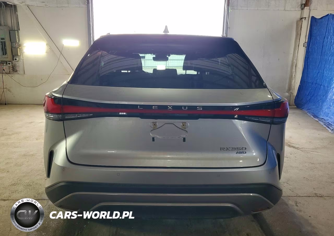 2023 Lexus Rx 350 Premium+ VIN:2T2BAMCA4PC014058 - 6