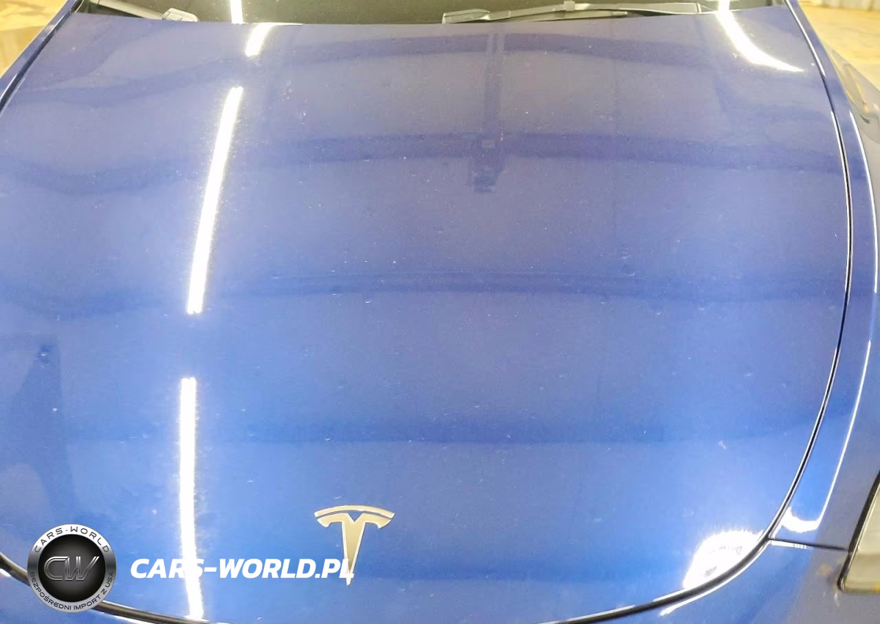 2023 Tesla Model Y VIN:7SAYGDEE7PA177893 - 11