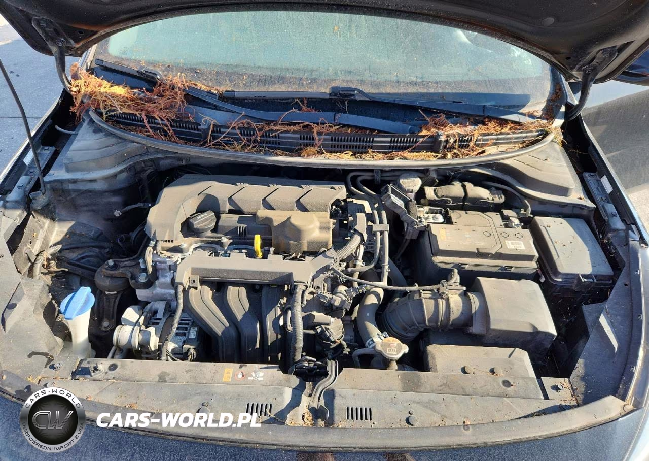 2020 Kia Rio Lx VIN:3KPA24ADXLE309817 - 11