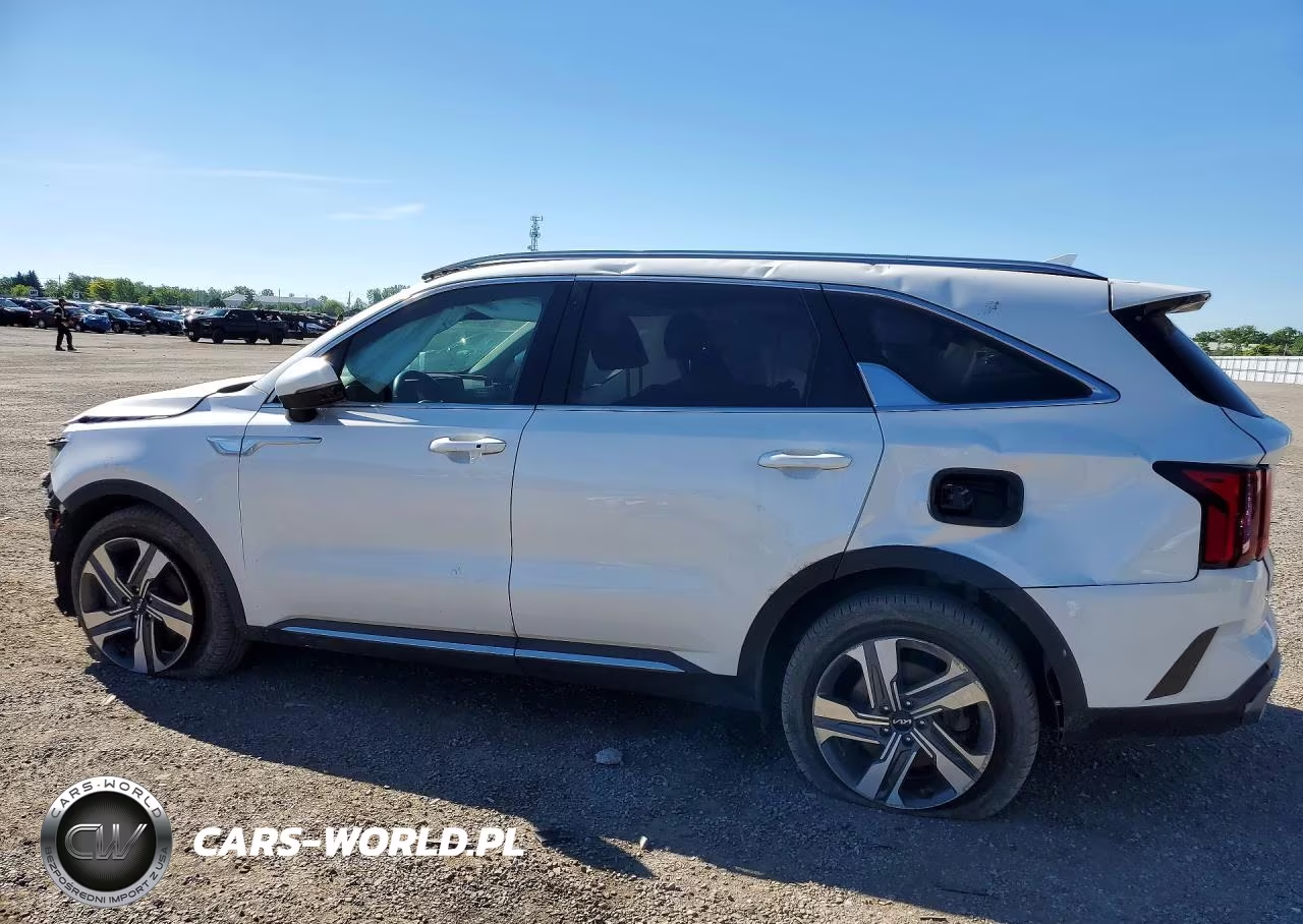 2023 Kia Sorento VIN:KNDRHDLG2P5221239 - 2