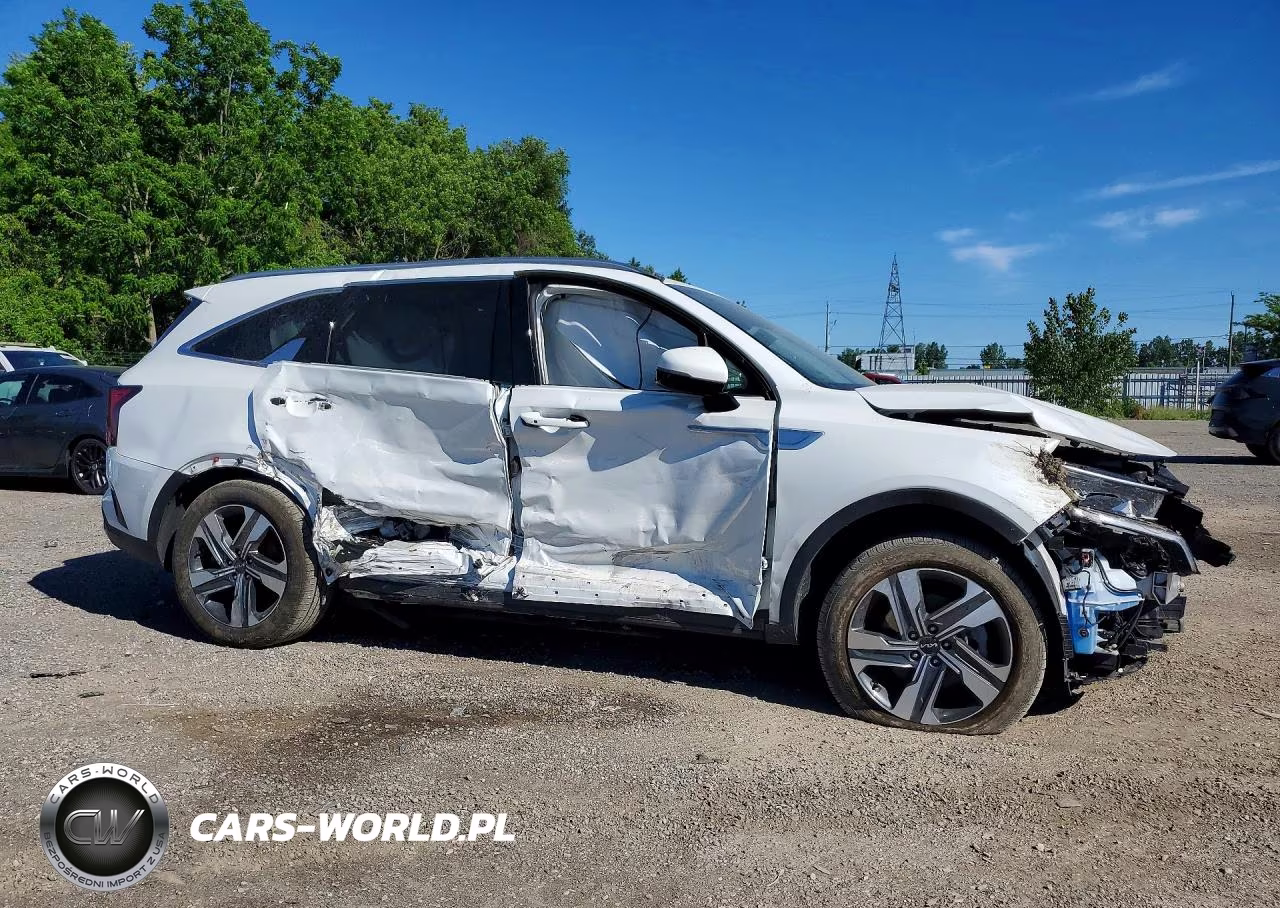 2023 Kia Sorento VIN:KNDRHDLG2P5221239 - 4