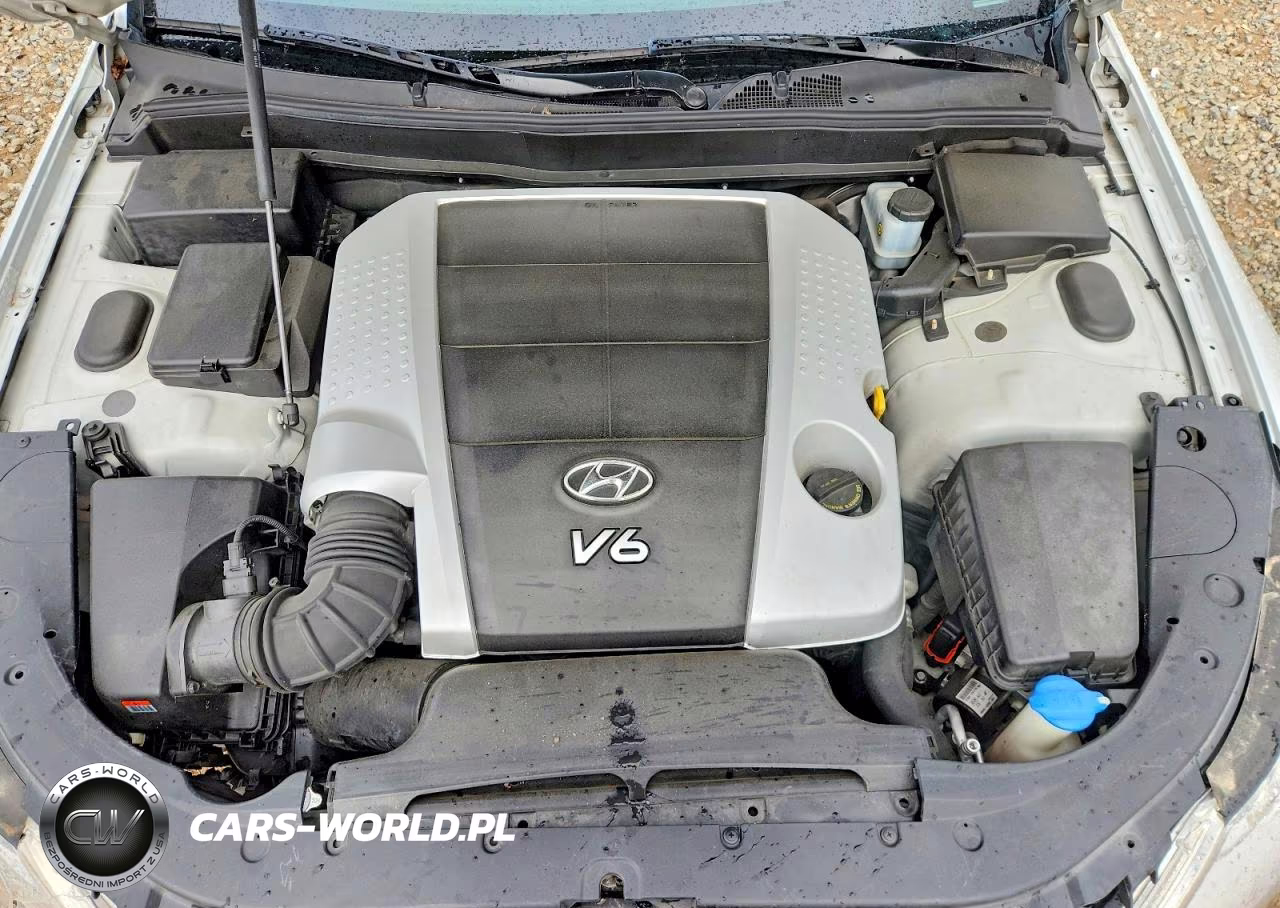 2011 Hyundai Genesis 3.8L VIN:KMHGC4DEXBU120771 - 11