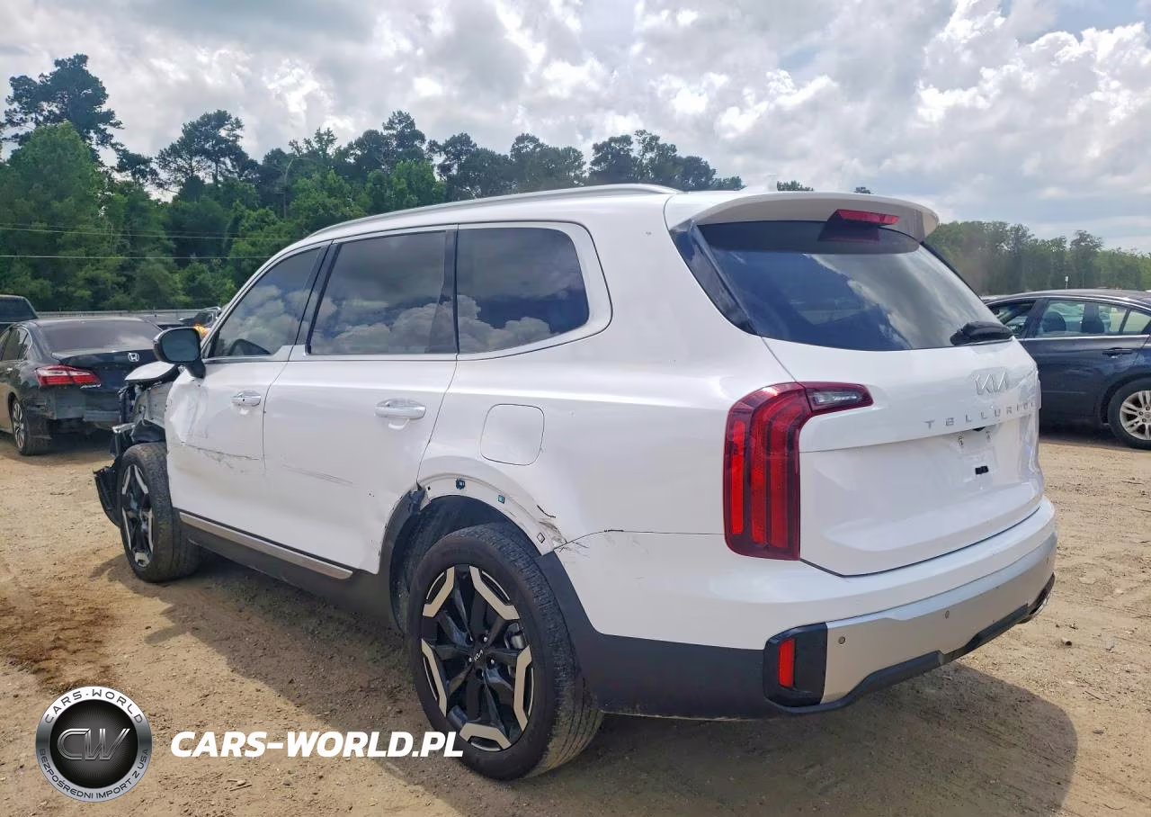 2024 Kia Telluride S VIN:5XYP64GC6RG512499 - 2