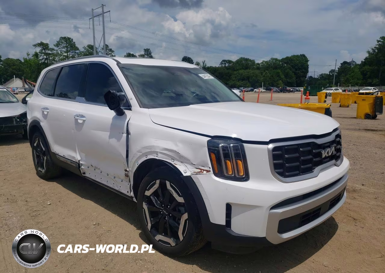2024 Kia Telluride S VIN:5XYP64GC6RG512499 - 4