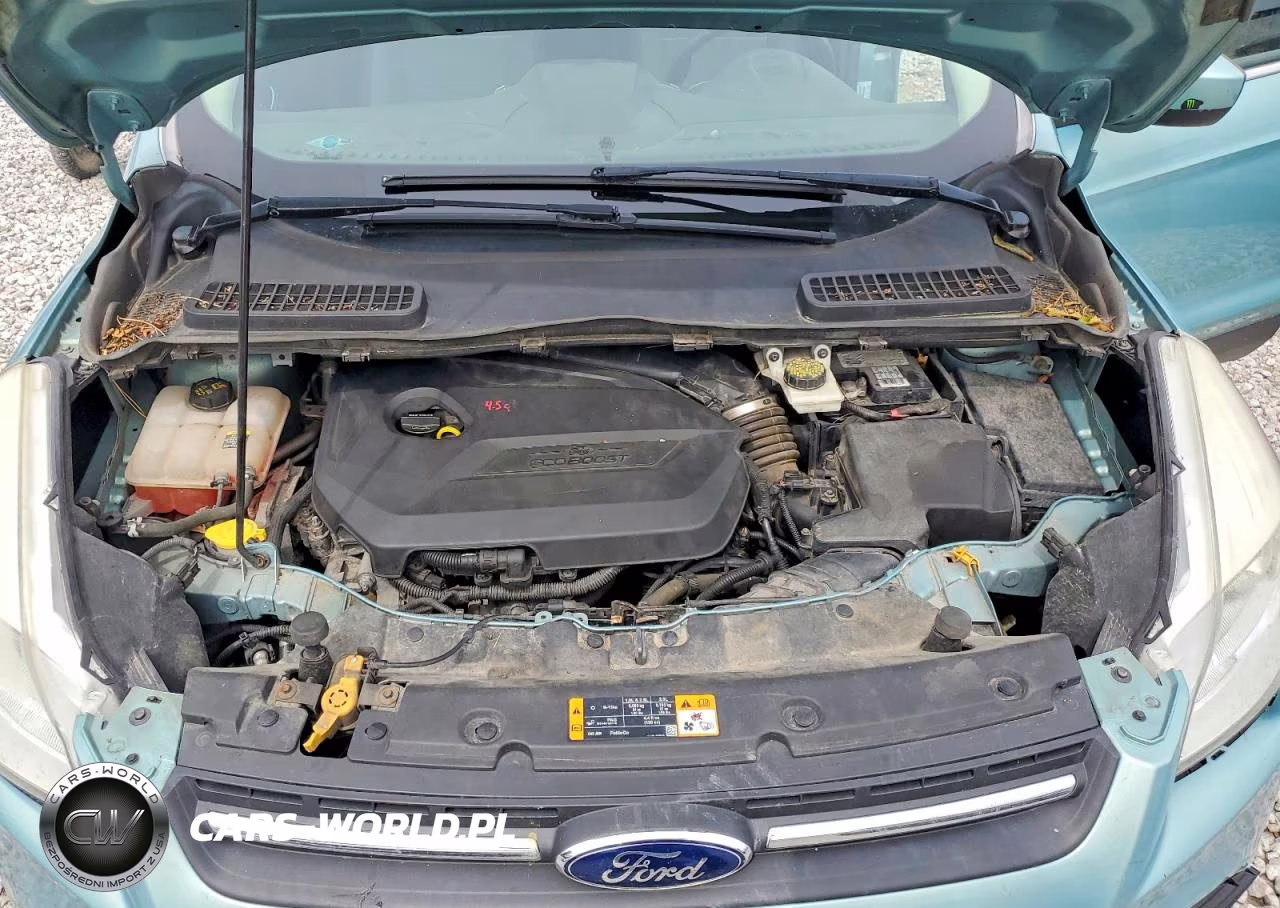 2013 Ford Escape Se VIN:1FMCU0GX7DUC68610 - 11