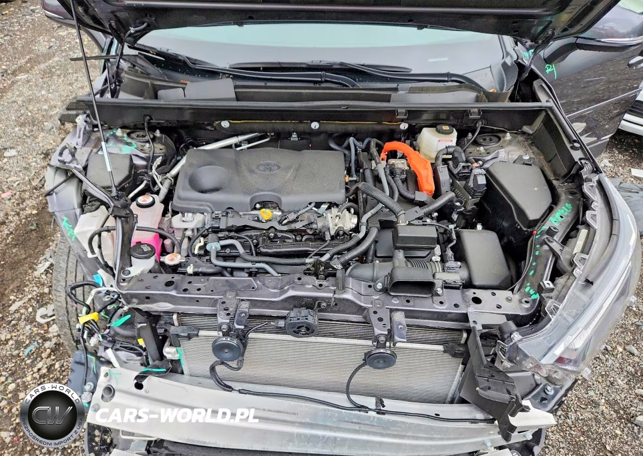 2025 Toyota Rav4 Hybrid Xle VIN:JTMRWRFV1SJ071055 - 12