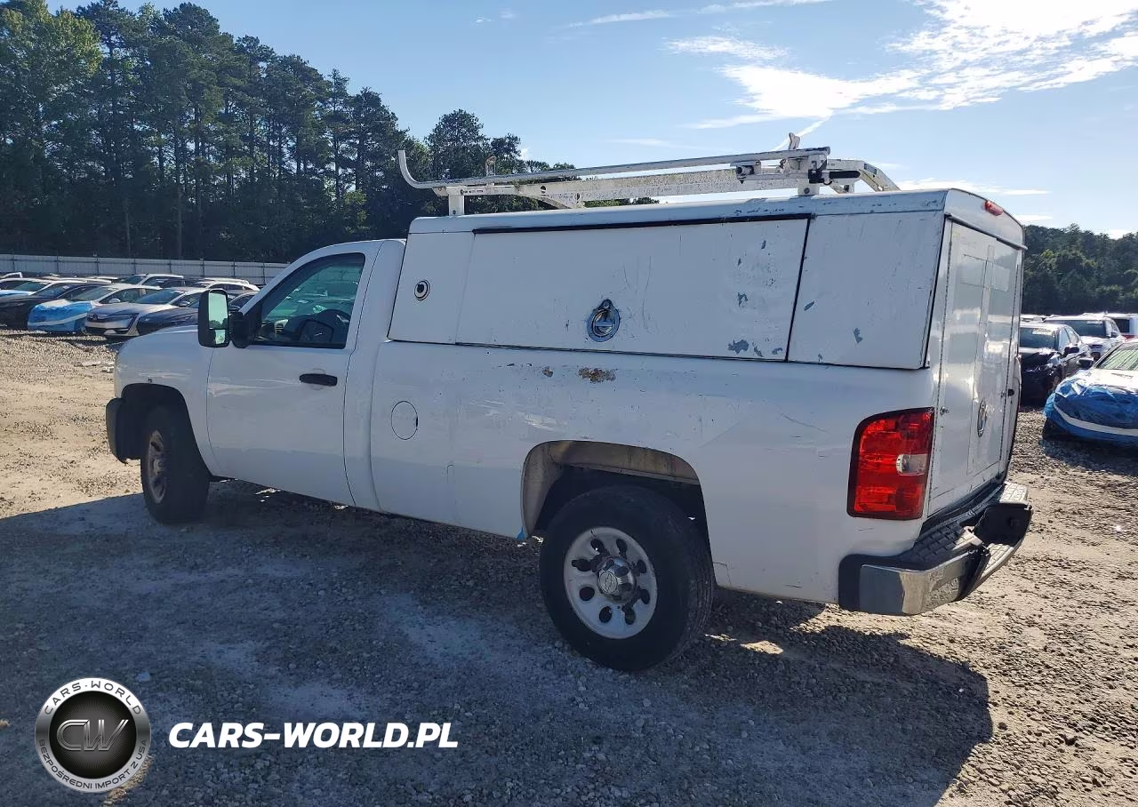 2013 Chevrolet Silverado C1500 VIN:1GCNCPEX0DZ269807 - 2