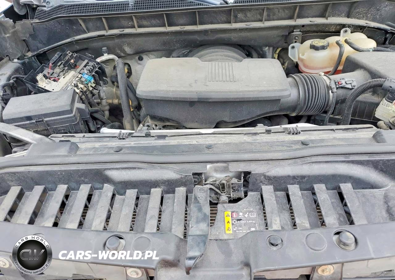 2019 Chevrolet Silverado K1500 Lt Trail Boss VIN:3GCPYFED5KG164154 - 11