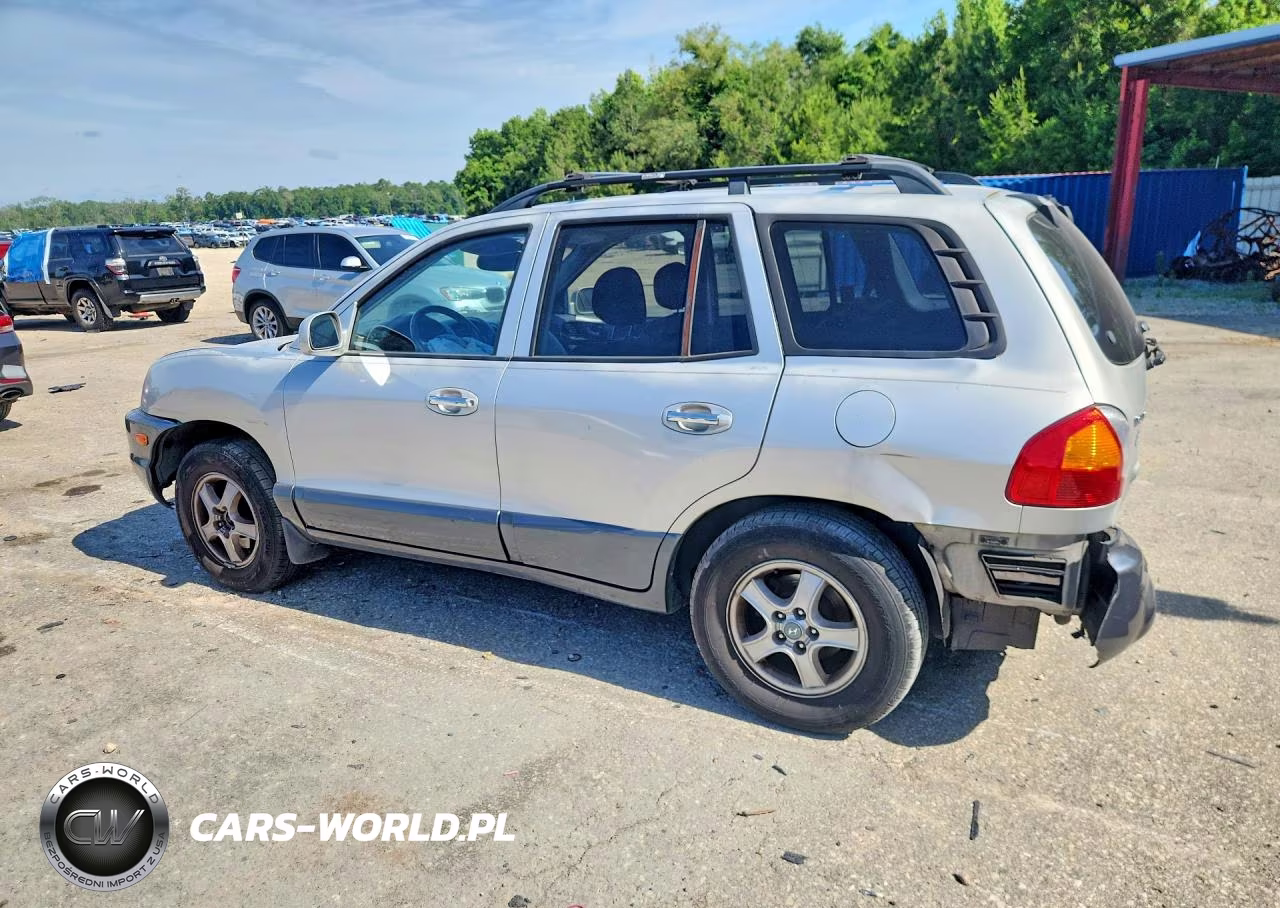 2004 Hyundai Santa Fe Gls VIN:KM8SC13E64U591068 - 2