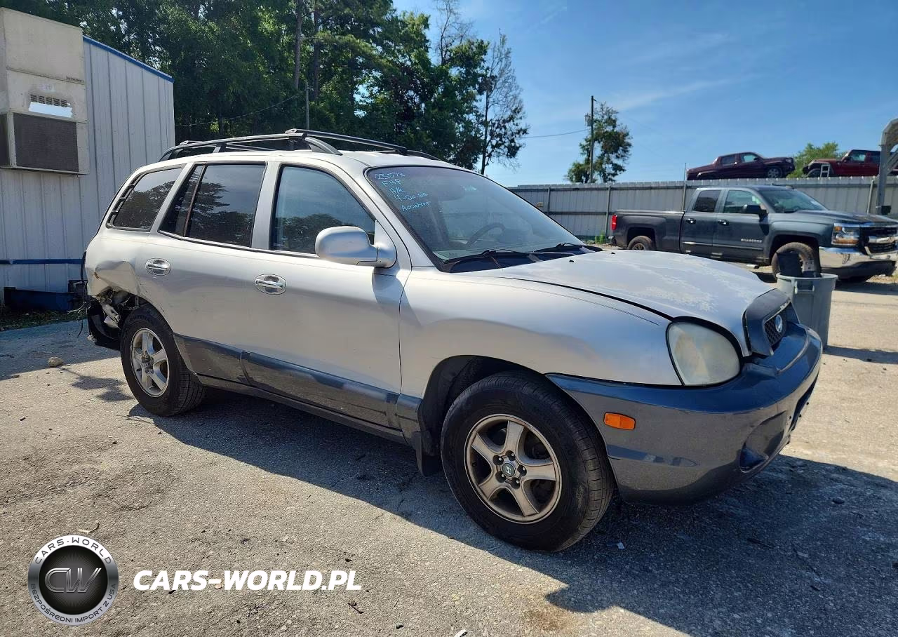 2004 Hyundai Santa Fe Gls VIN:KM8SC13E64U591068 - 4