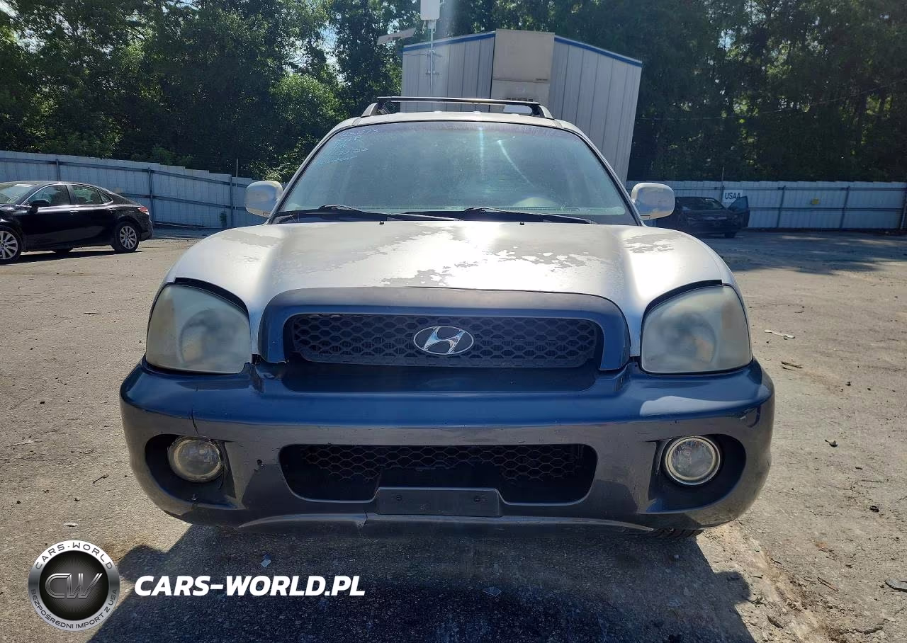 2004 Hyundai Santa Fe Gls VIN:KM8SC13E64U591068 - 5