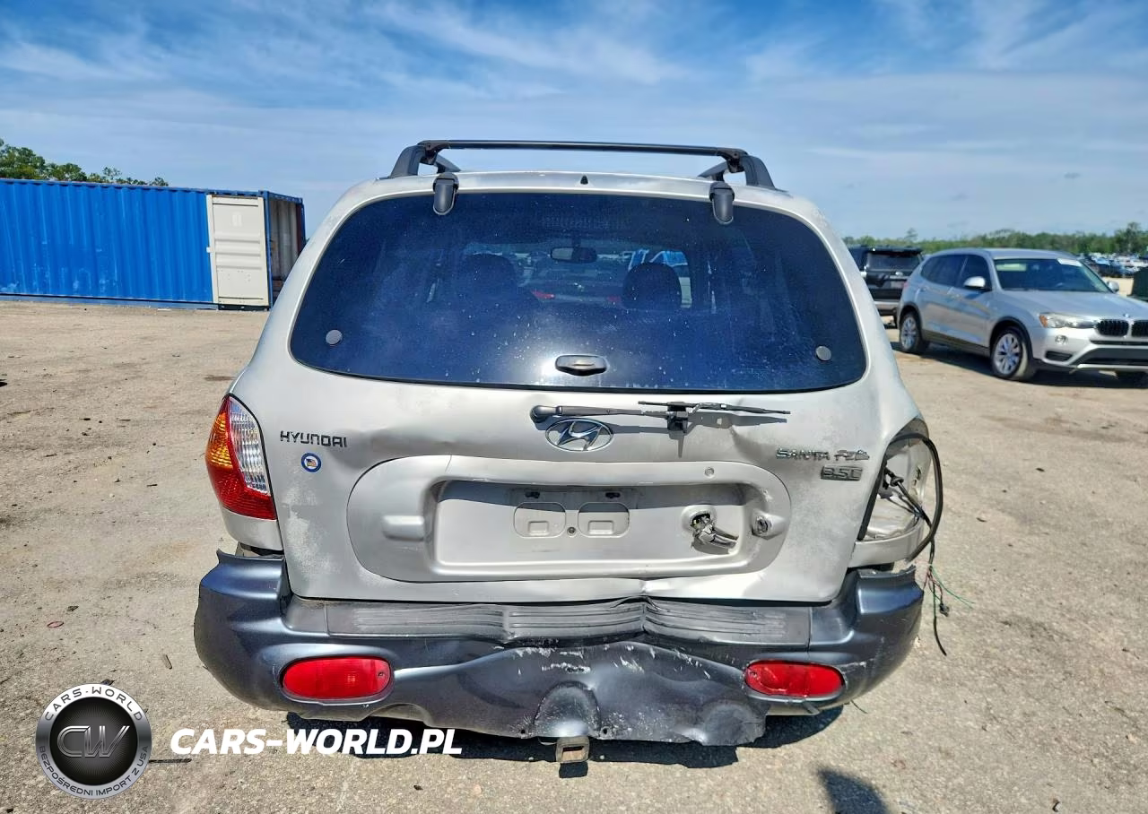 2004 Hyundai Santa Fe Gls VIN:KM8SC13E64U591068 - 6