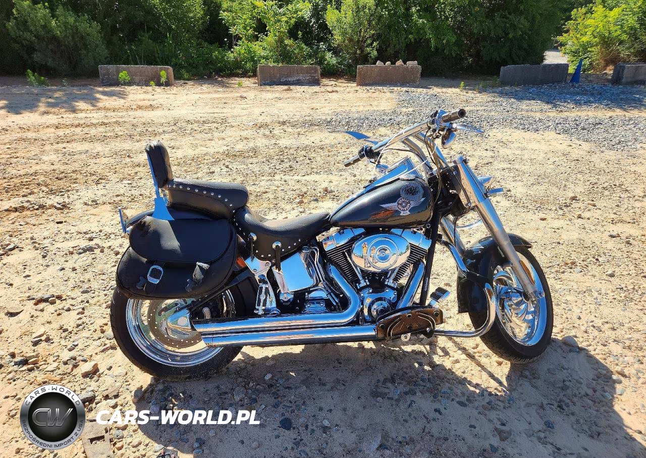2005 Harley Davidson Flstfi