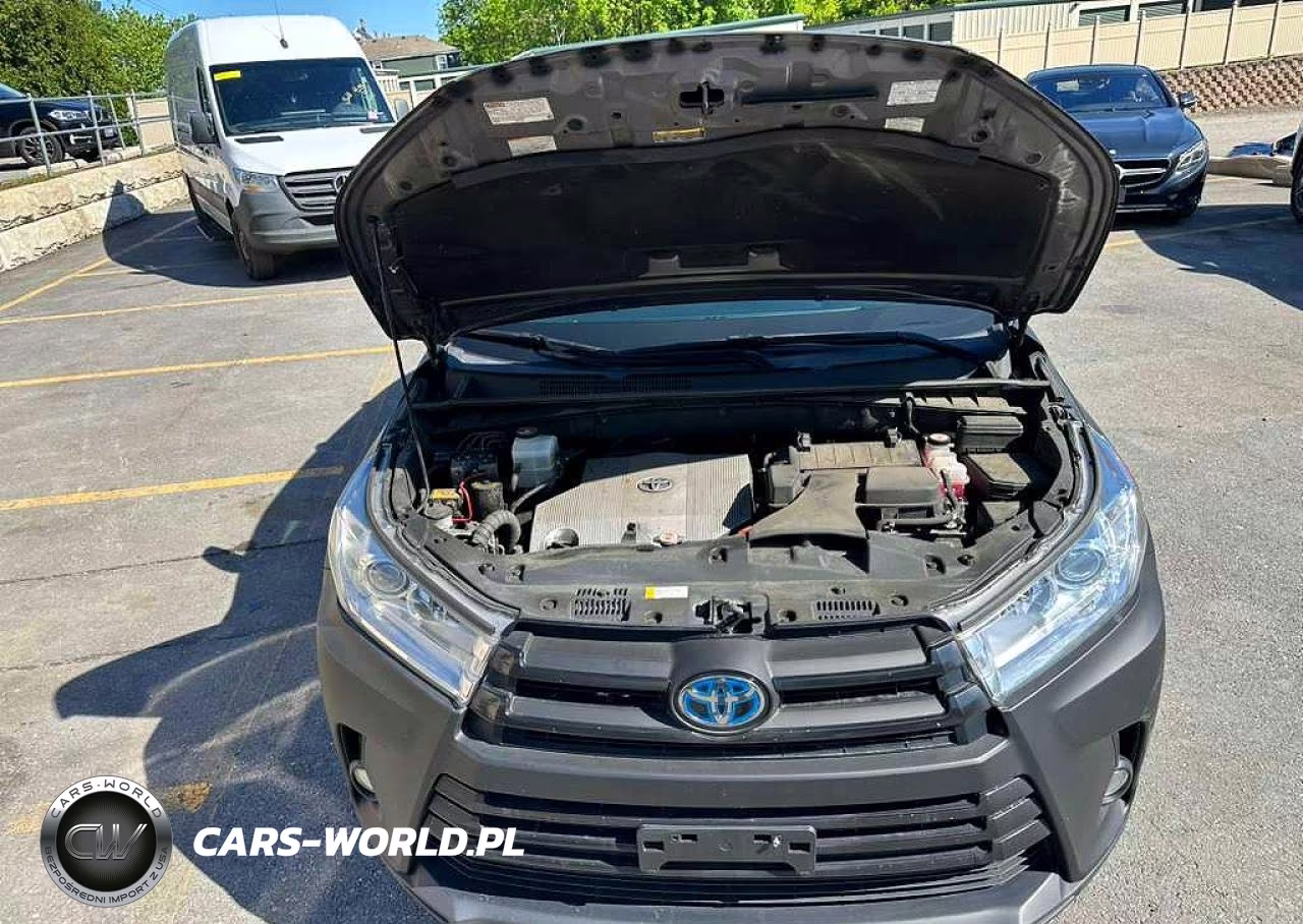 2019 Toyota Highlander Hybrid Xle VIN:5TDJGRFH7KS073819 - 9