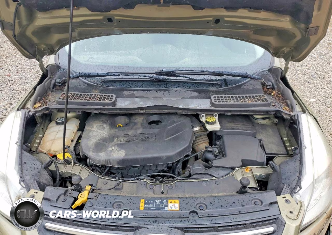 2013 Ford Escape Se VIN:1FMCU0G91DUD76786 - 12