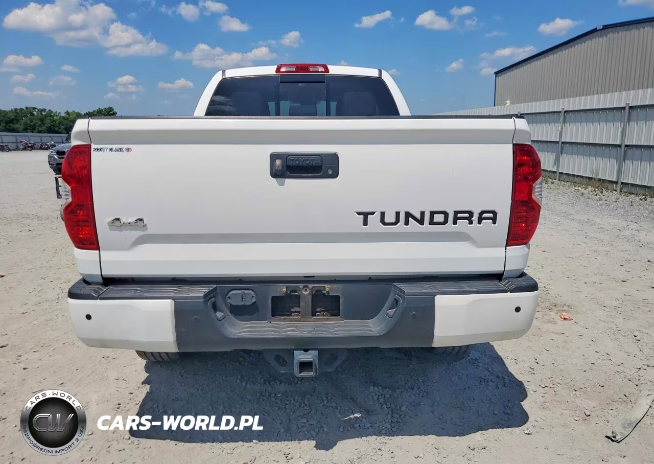 2018 Toyota Tundra Double Cab Limited VIN:5TFBY5F1XJX698267 - 6