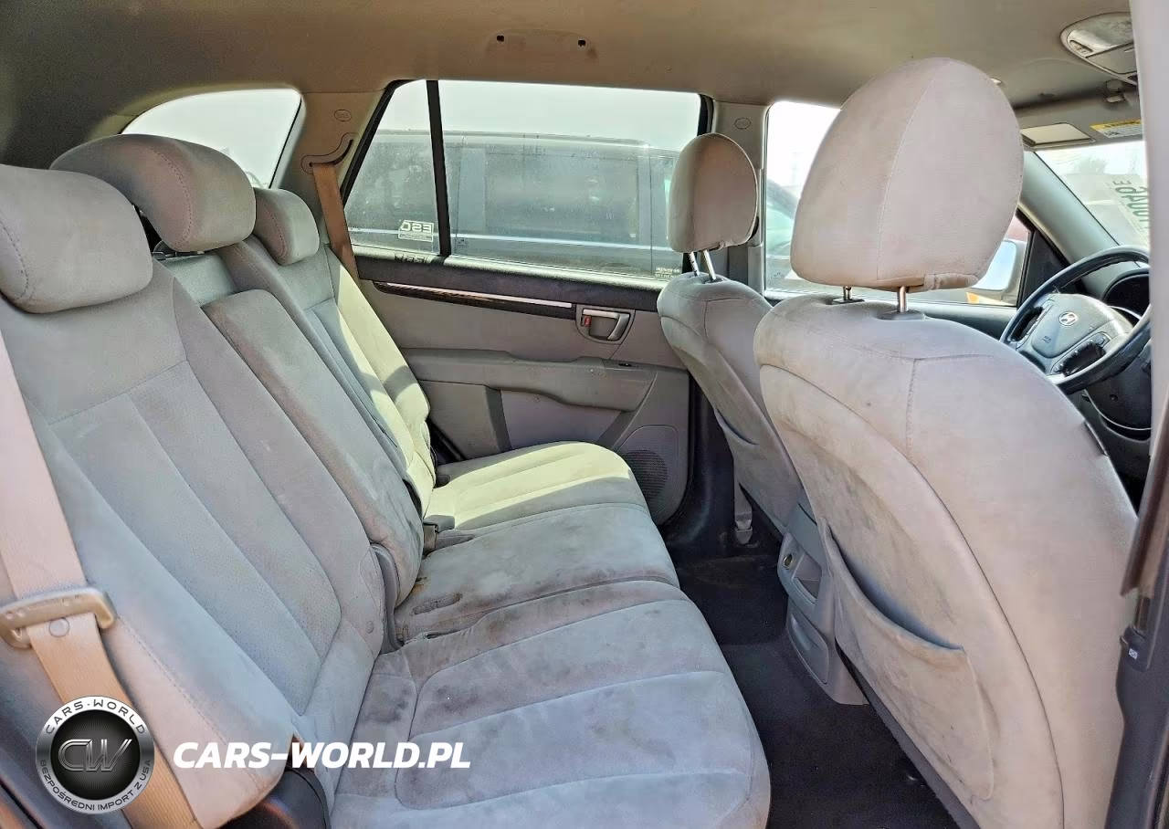 2009 Hyundai Santa Fe Gls VIN:5NMSG13D59H236441 - 10