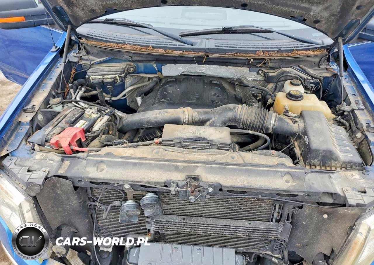 2013 Ford F150 Supercrew VIN:1FTFW1ET7DKD19925 - 11