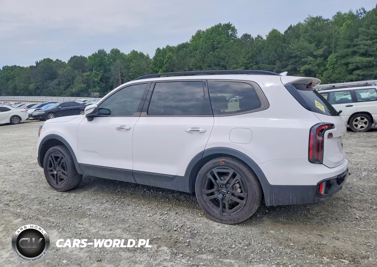 2024 Kia Telluride Ex X-Line VIN:5XYP3DGC0RG447593 - 2
