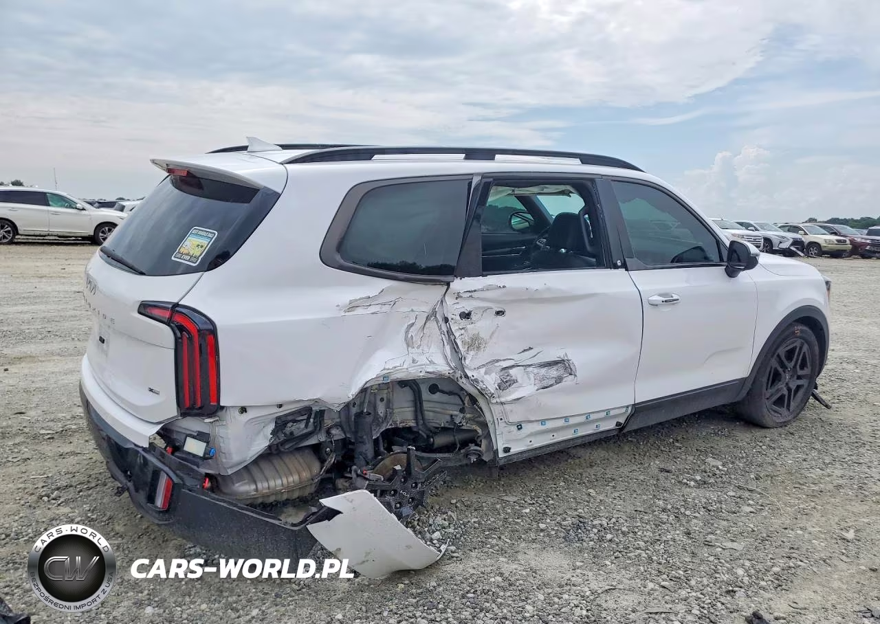 2024 Kia Telluride Ex X-Line VIN:5XYP3DGC0RG447593 - 3