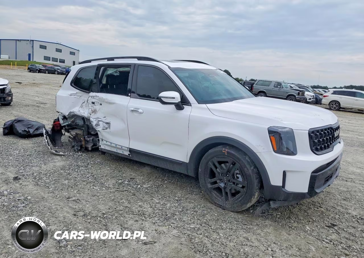 2024 Kia Telluride Ex X-Line VIN:5XYP3DGC0RG447593 - 4