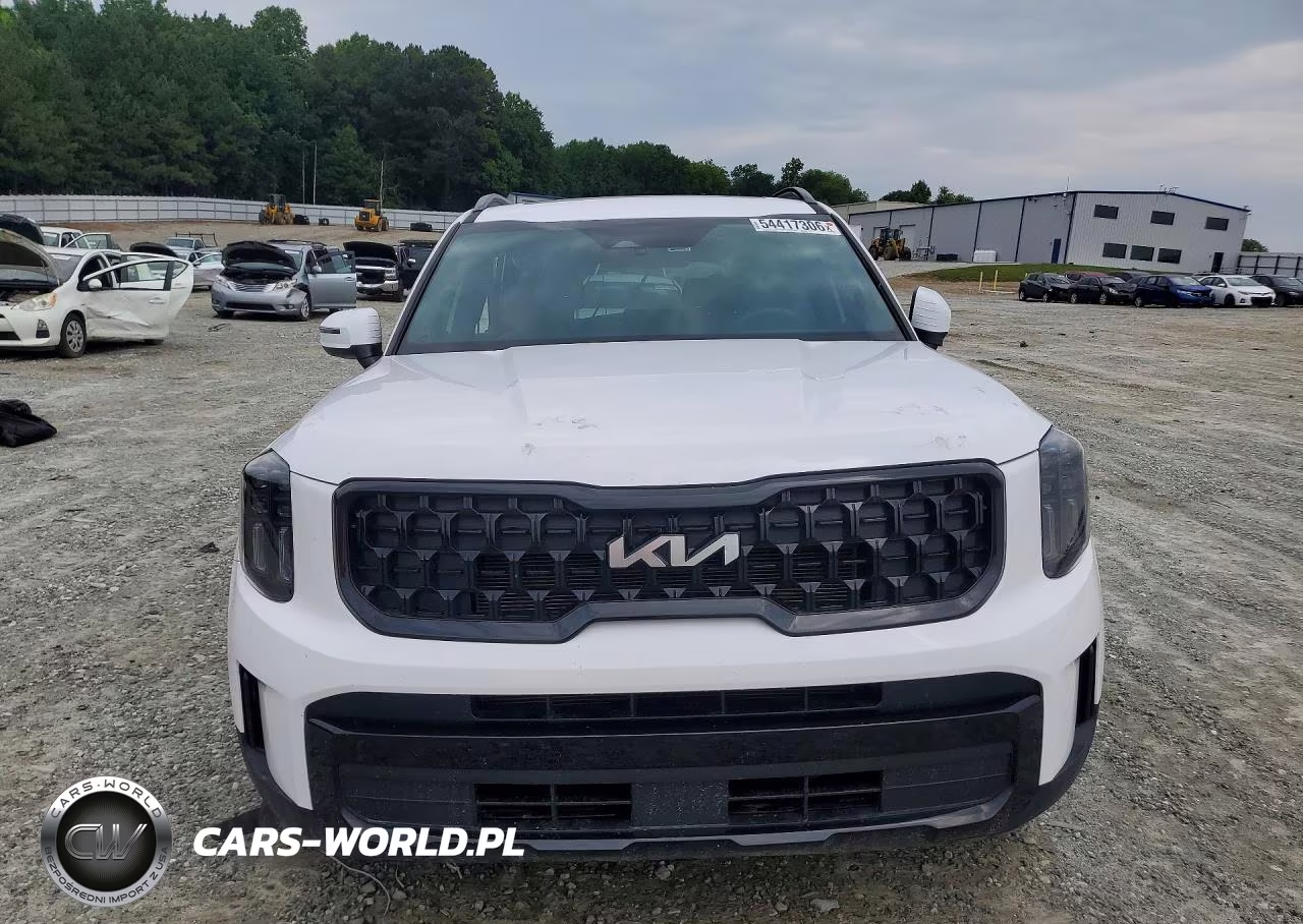 2024 Kia Telluride Ex X-Line VIN:5XYP3DGC0RG447593 - 5